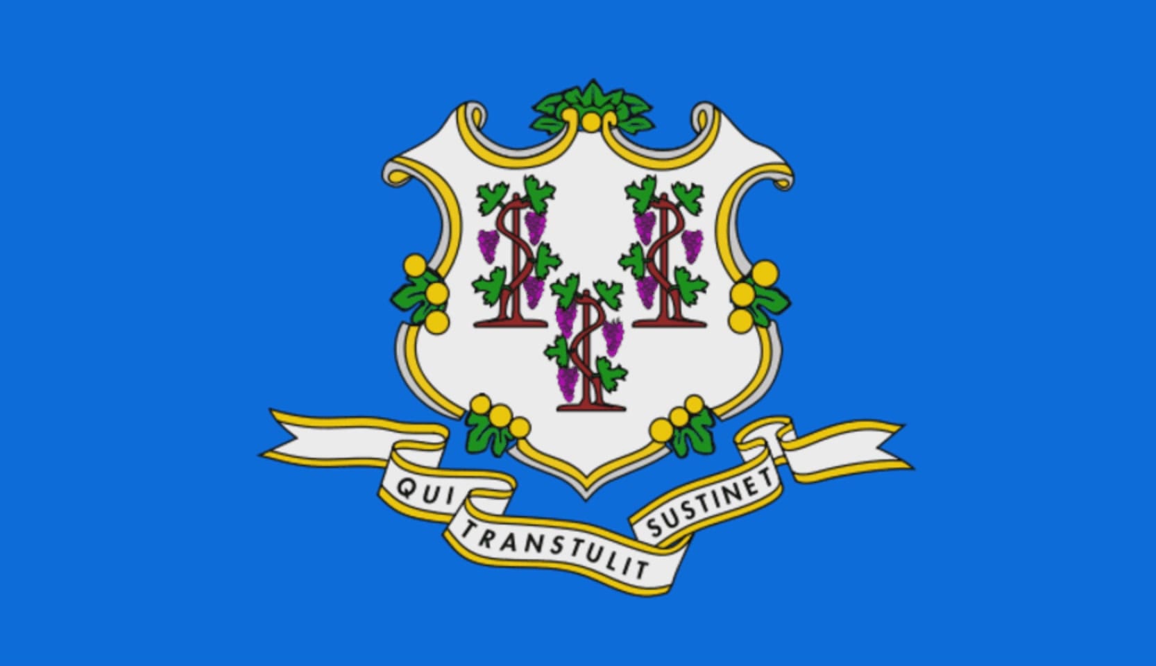 Integrity Flags Connecticut State Flag 36" x 60" (33526)
