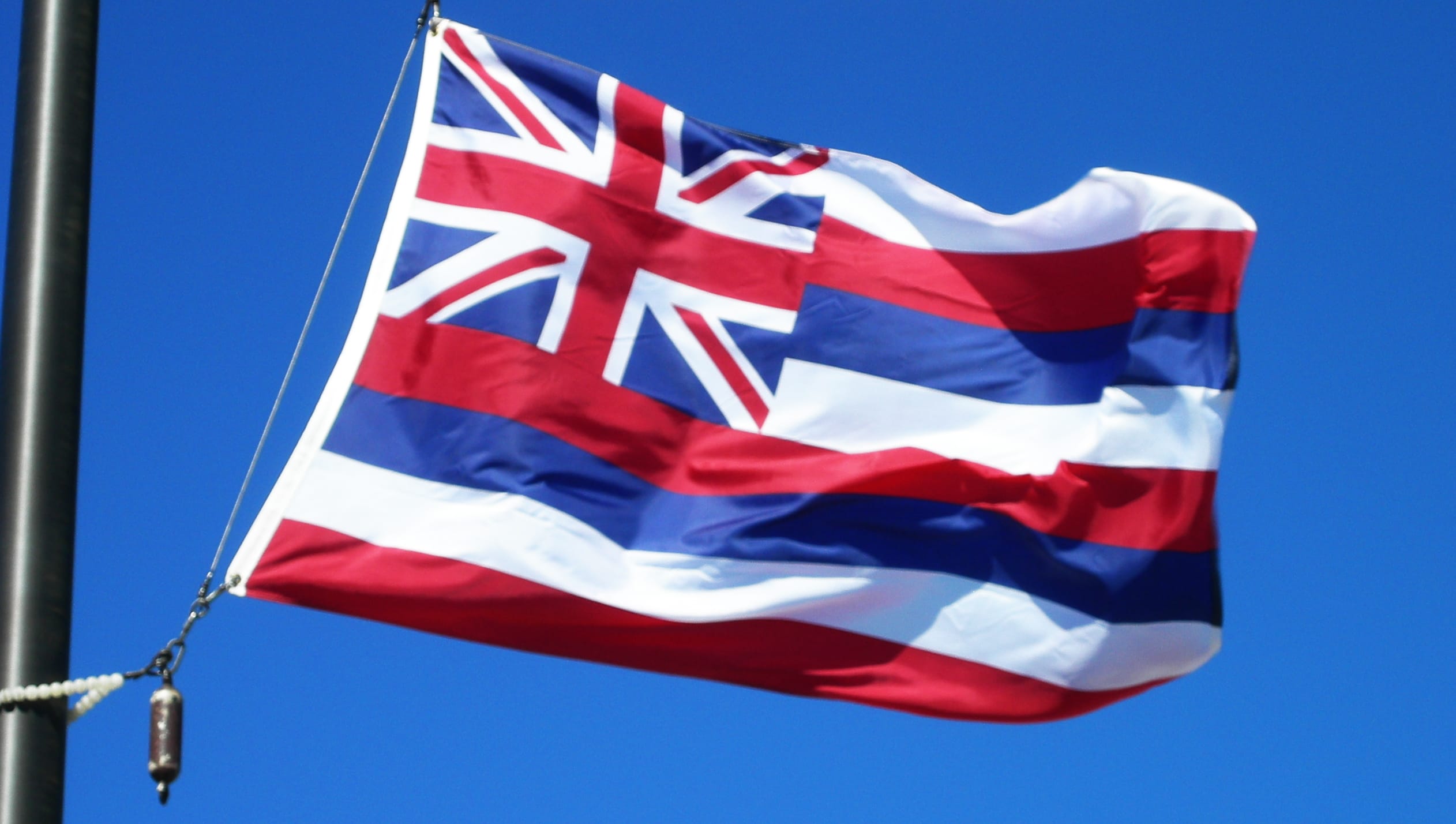 Integrity Flags Hawaii State Flag 36" x 60" (33530)