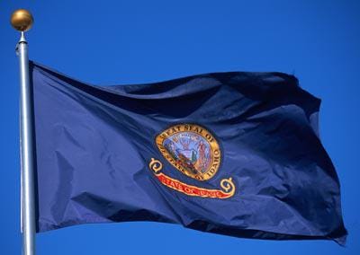 Integrity Flags Idaho State Flag 36" x 60" (33531)