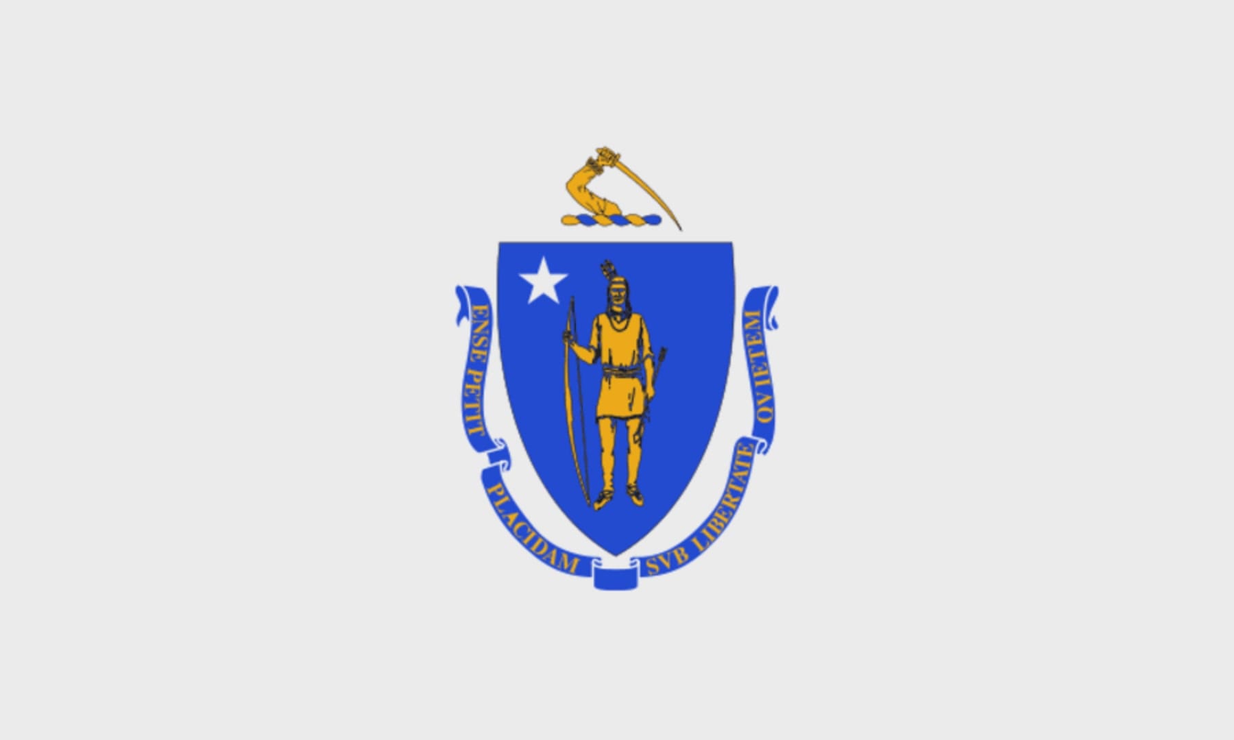 Integrity Flags Massachusetts State Flag 36" x 60" (33540)