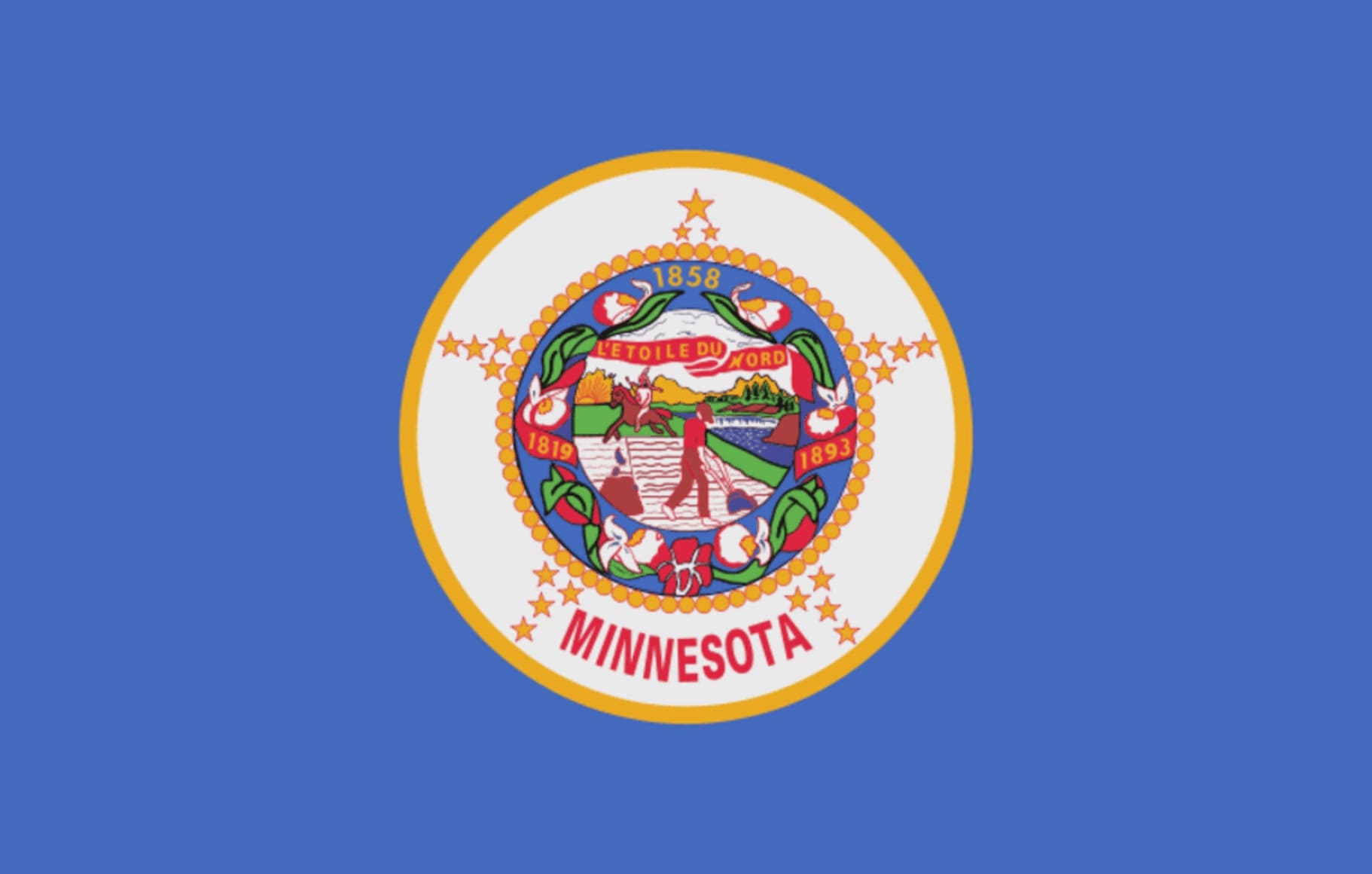 Integrity Flags Minnesota State Flag 36" x 60" (33542)