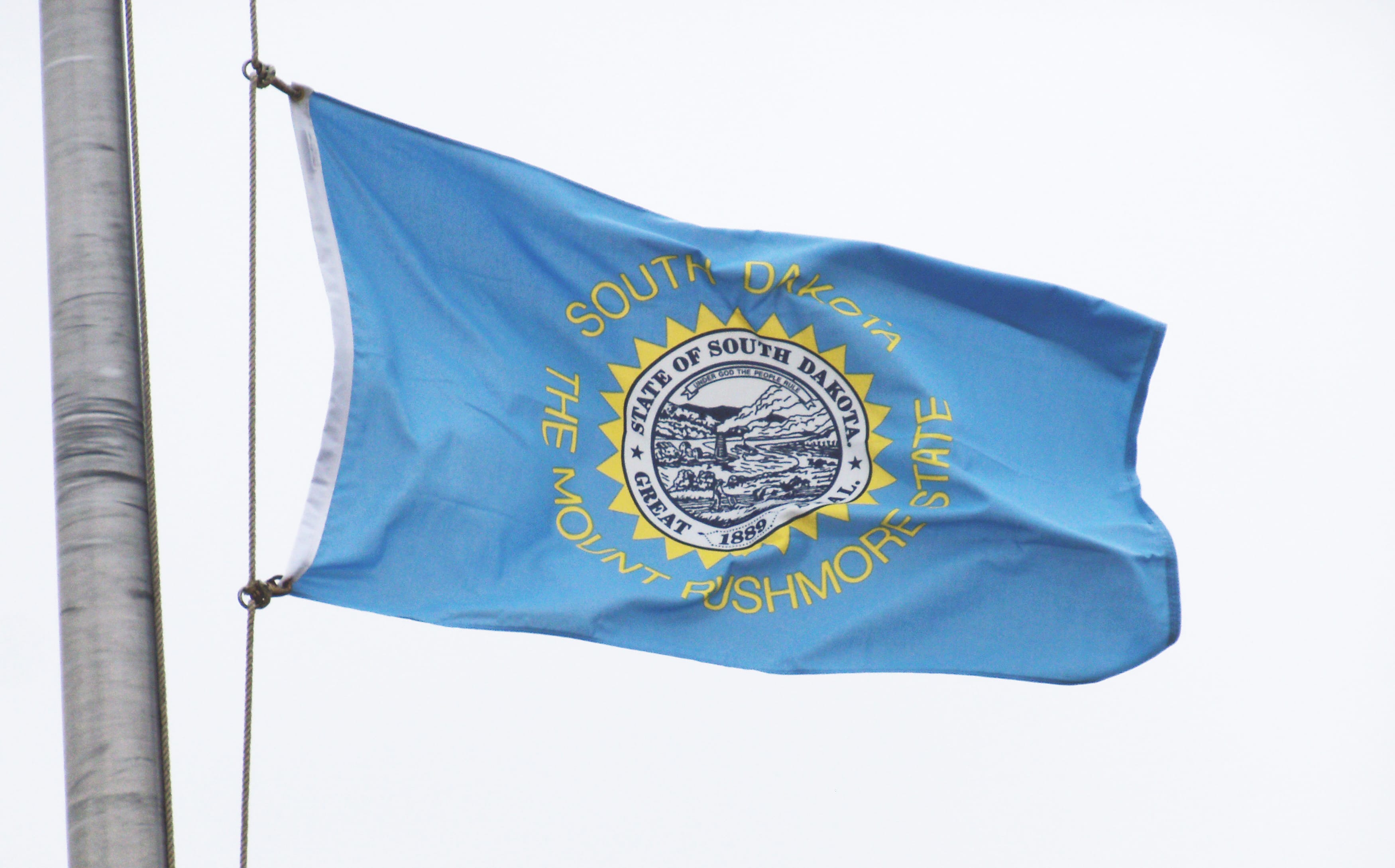 Integrity Flags South Dakota State Flag 36" x 60" (33560)