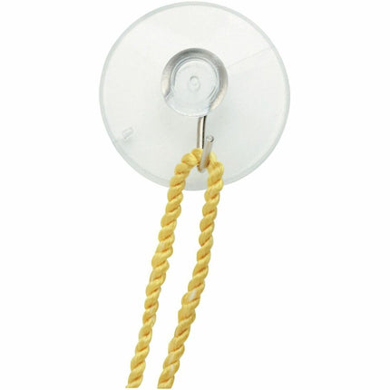 Baumgartens Suction Cups with Hook 50 Pack CLEAR (DG-4001)