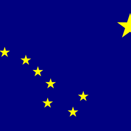 Integrity Flags Alaska State Flag 36" x 60" (33521)