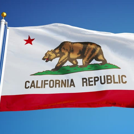 Integrity Flags California State Flag 36" x 60" (33524)