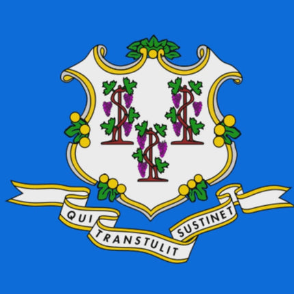 Integrity Flags Connecticut State Flag 36" x 60" (33526)