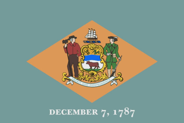 Integrity Flags Delaware State Flag 36" x 60" (33527)