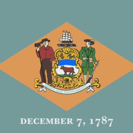 Integrity Flags Delaware State Flag 36" x 60" (33527)