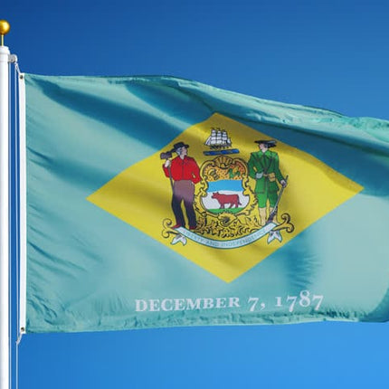 Integrity Flags Delaware State Flag 36" x 60" (33527)