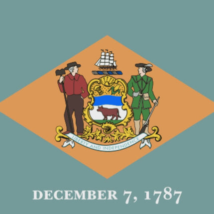 Integrity Flags Delaware State Flag 36" x 60" (33527)