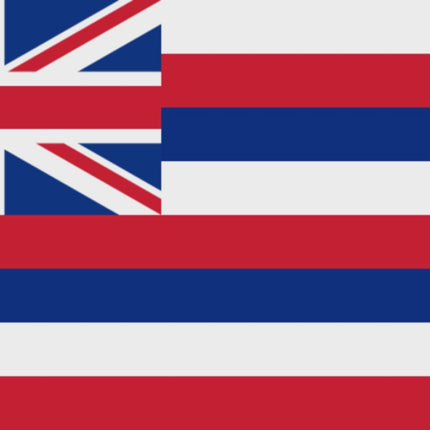 Integrity Flags Hawaii State Flag 36" x 60" (33530)