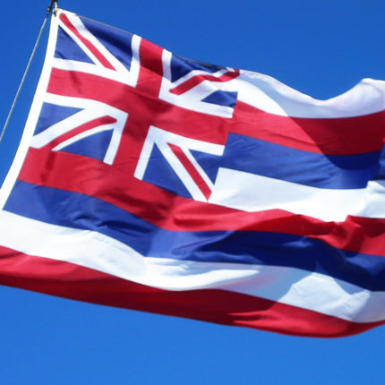 Integrity Flags Hawaii State Flag 36" x 60" (33530)