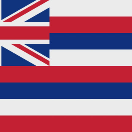 Integrity Flags Hawaii State Flag 36" x 60" (33530)