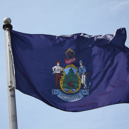 Integrity Flags Maine State Flag 36" x 60" (33538)