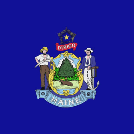 Integrity Flags Maine State Flag 36" x 60" (33538)