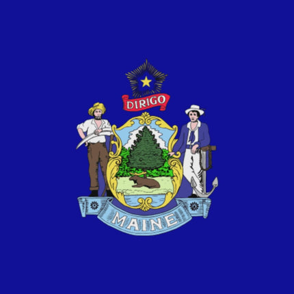 Integrity Flags Maine State Flag 36" x 60" (33538)