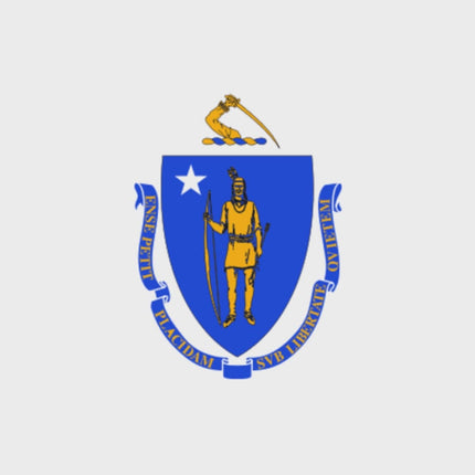 Integrity Flags Massachusetts State Flag 36" x 60" (33540)