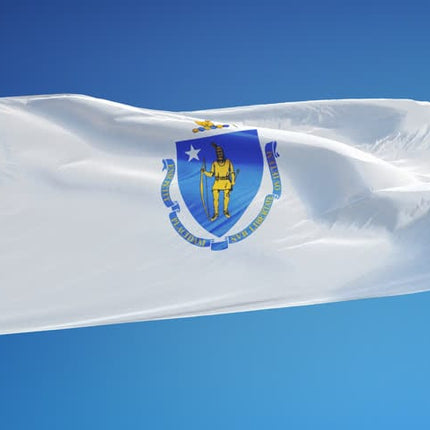 Integrity Flags Massachusetts State Flag 36" x 60" (33540)