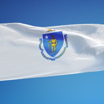 Integrity Flags Massachusetts State Flag 36" x 60" (33540)