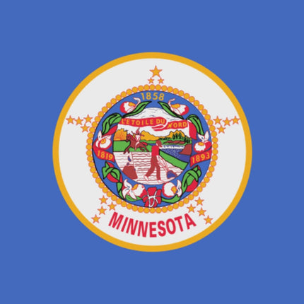 Integrity Flags Minnesota State Flag 36" x 60" (33542)