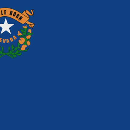 Integrity Flags Nevada State Flag 36" x 60" (33547)