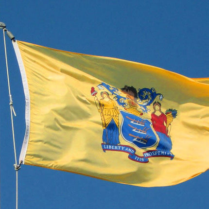 Integrity Flags New Jersey State Flag 36" x 60" (33549)