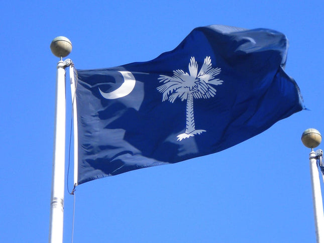 Integrity Flags South Carolina State Flag 36" x 60" (33559)