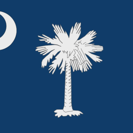 Integrity Flags South Carolina State Flag 36" x 60" (33559)