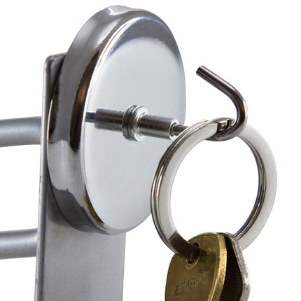 Zeus Heavy Duty Magnetic Hook 20 lb. CHROME (42420)