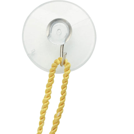 Baumgartens Suction Cups with Hook 50 Pack CLEAR (DG-4001)