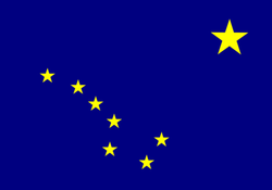 Integrity Flags Alaska State Flag 36" x 60" (33521)