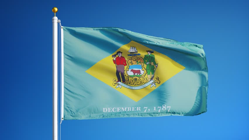 Integrity Flags Delaware State Flag 36" x 60" (33527)