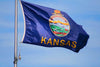 Integrity Flags Kansas State Flag 36" x 60" (33535)