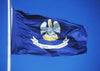 Integrity Flags Louisiana State Flag 36" x 60" (33537)