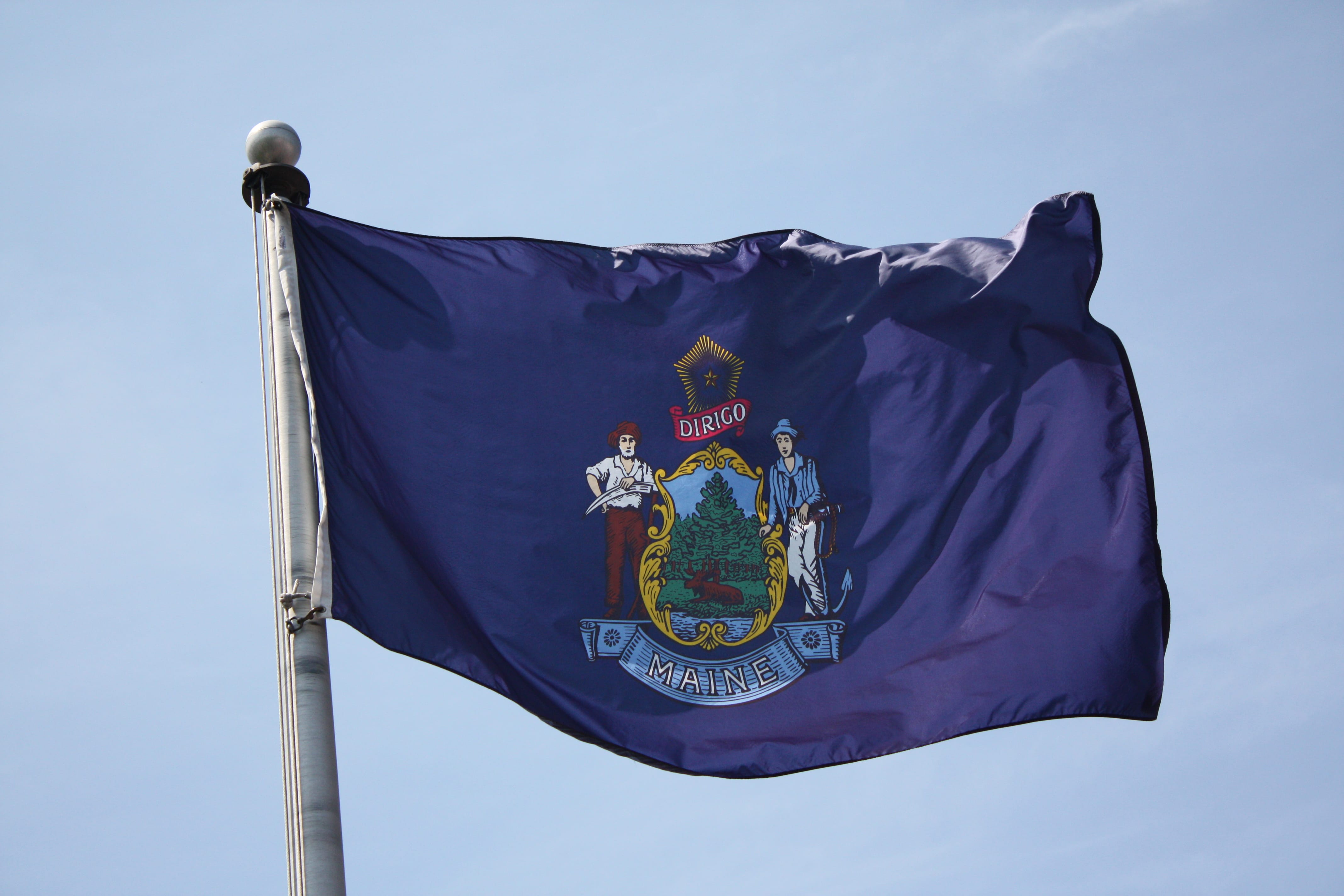 Integrity Flags Maine State Flag 36" x 60" (33538)