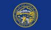 Integrity Flags Nebraska State Flag 36" x 60" (33546)