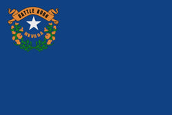 Integrity Flags Nevada State Flag 36" x 60" (33547)