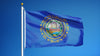 Integrity Flags New Hampshire State Flag 36" x 60" (33548)