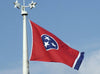 Integrity Flags Tennessee State Flag 36" x 60" (33561)