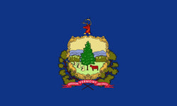 Integrity Flags Vermont State Flag 36" x 60" (33564)