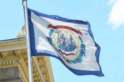Integrity Flags West Virginia State Flag 36" x 60" (33567)