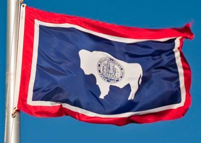 Integrity Flags Wyoming State Flag 36" x 60" (33569)